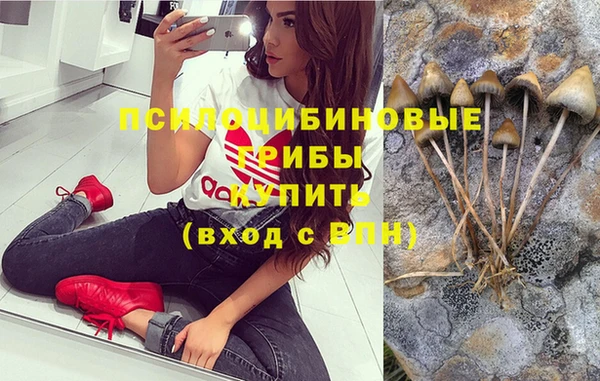 эйфоретик Аркадак