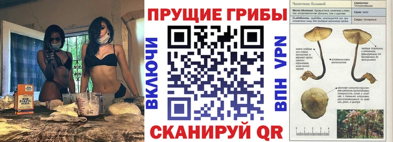 Галлюциногенные грибы мухоморы  Старая Купавна 